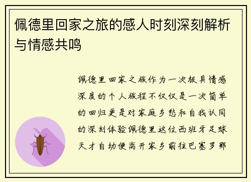 佩德里回家之旅的感人时刻深刻解析与情感共鸣