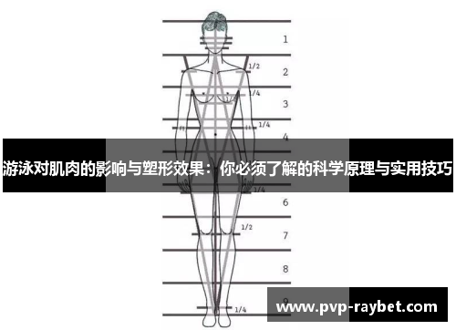 游泳对肌肉的影响与塑形效果：你必须了解的科学原理与实用技巧