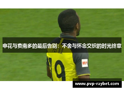 申花与费南多的最后告别：不舍与怀念交织的时光终章
