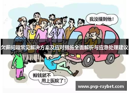 欠薪问题常见解决方案及应对措施全面解析与应急处理建议