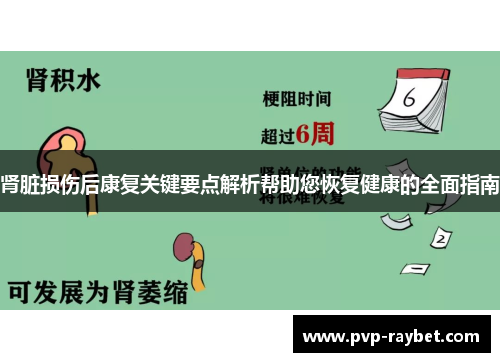 肾脏损伤后康复关键要点解析帮助您恢复健康的全面指南