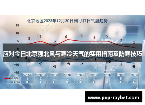 应对今日北京强北风与寒冷天气的实用指南及防寒技巧