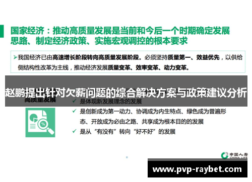 赵鹏提出针对欠薪问题的综合解决方案与政策建议分析