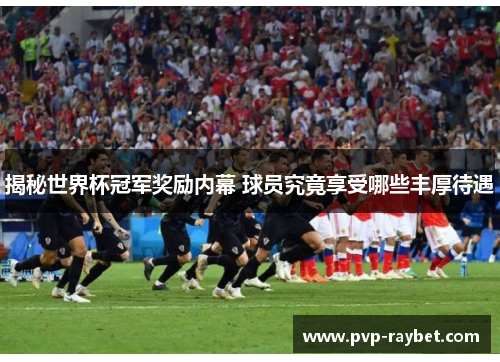揭秘世界杯冠军奖励内幕 球员究竟享受哪些丰厚待遇