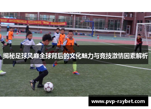 揭秘足球风靡全球背后的文化魅力与竞技激情因素解析